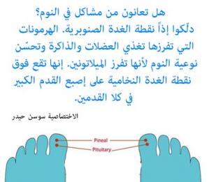 ../Files/Pictures/REFLEXOLOGY 7.jpg